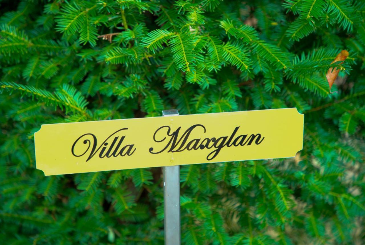 Villa Maxglan Залцбург Екстериор снимка