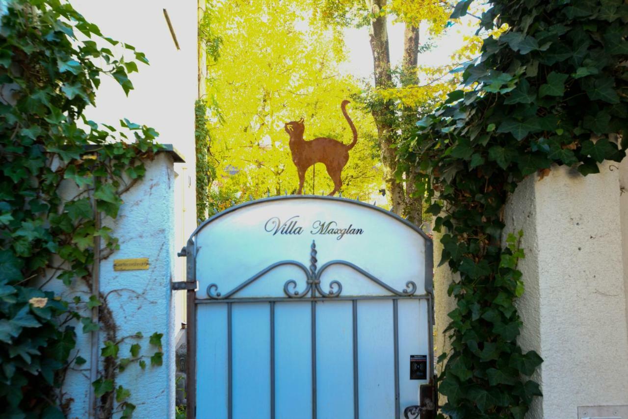 Villa Maxglan Залцбург Екстериор снимка
