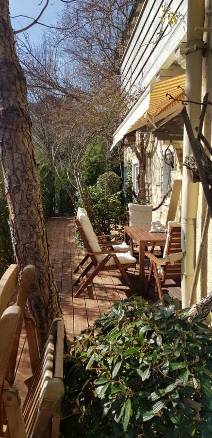 Villa Maxglan Залцбург Екстериор снимка
